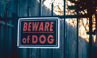 4 Reasons Why Dog Bite Injuries Require Legal Assistance