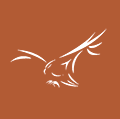 log9-1-light mintz logo