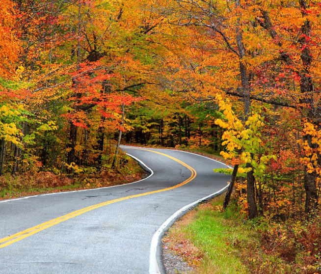 Going to See the Fall Foliage? Drive Safe With These 3 Tips