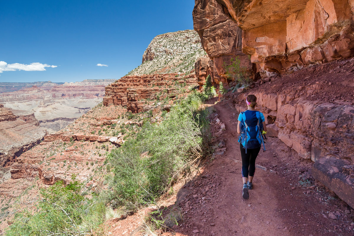 Hiker woman hiking in Grand Canyon. Healthy active lifestyle image of hiking young multiracial female hiker in Grand Canyon, Adventure and travel concept. Women hiking in USA national park.